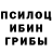 Псилоцибиновые грибы Psilocybine cubensis Milena Klet
